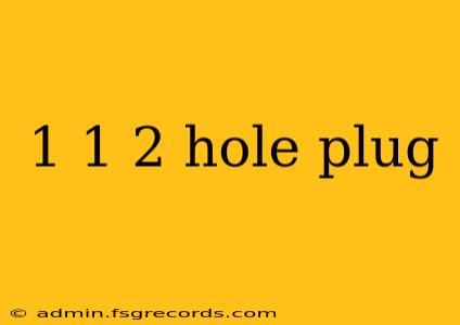 1 1 2 hole plug