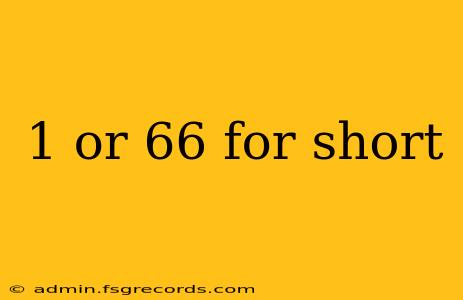 1 or 66 for short