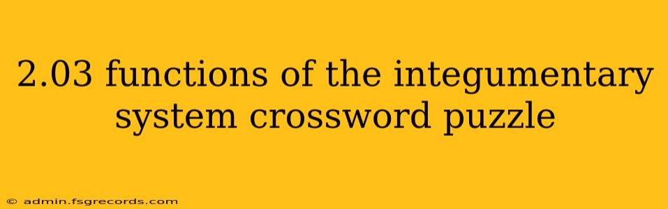 2.03 functions of the integumentary system crossword puzzle