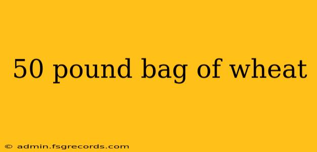 50 pound bag of wheat