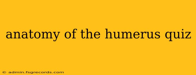 anatomy of the humerus quiz