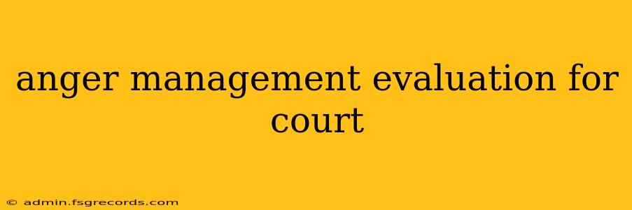 anger management evaluation for court