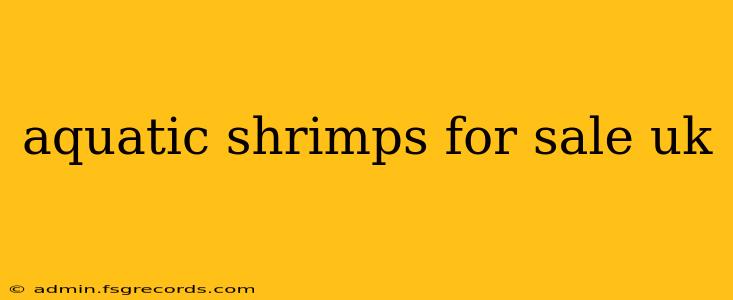 aquatic shrimps for sale uk