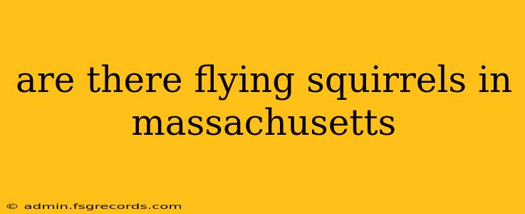 are there flying squirrels in massachusetts