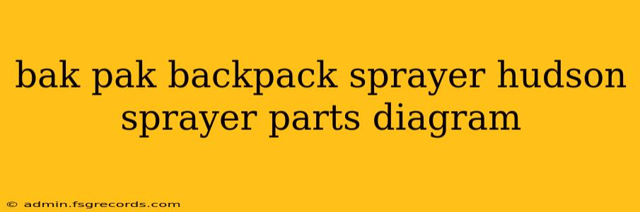 bak pak backpack sprayer hudson sprayer parts diagram