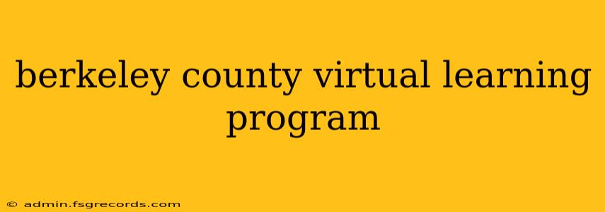 berkeley county virtual learning program