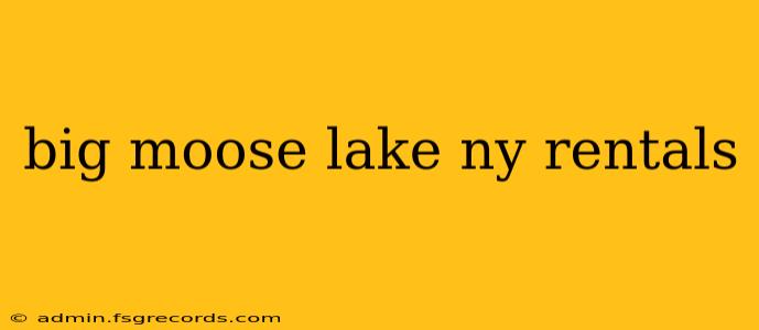 big moose lake ny rentals