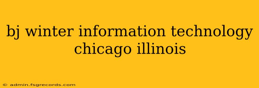 bj winter information technology chicago illinois