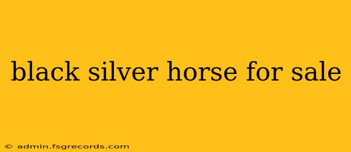 black silver horse for sale