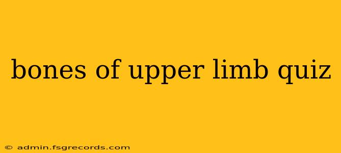 bones of upper limb quiz