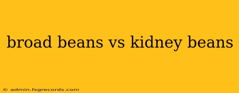 broad beans vs kidney beans