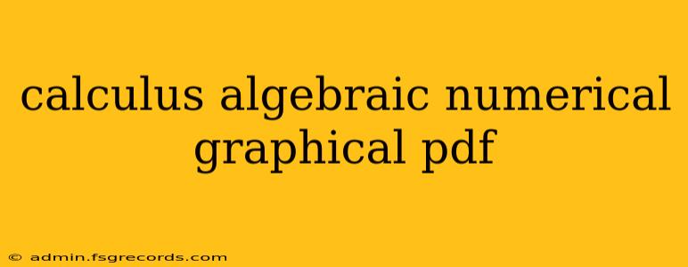 calculus algebraic numerical graphical pdf