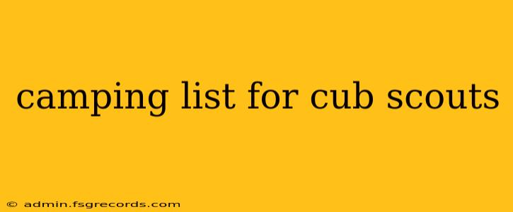 camping list for cub scouts