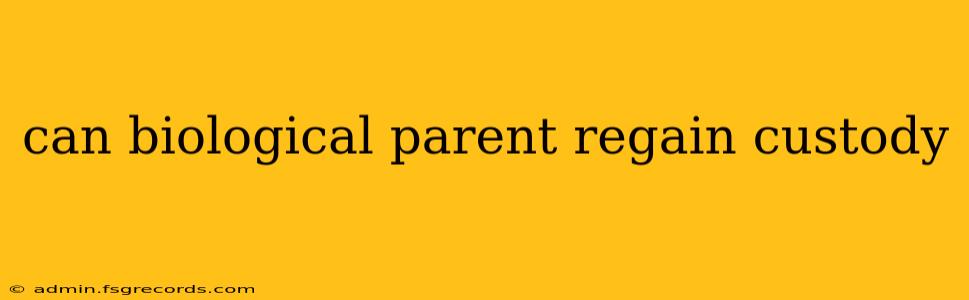 can biological parent regain custody