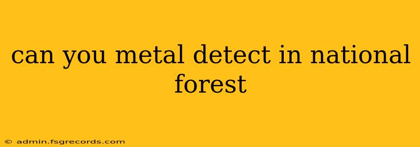 can you metal detect in national forest