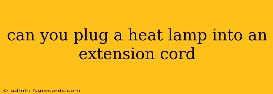 can you plug a heat lamp into an extension cord