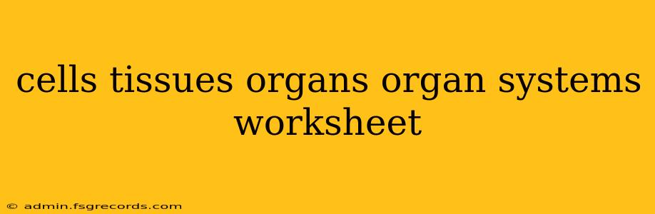 cells tissues organs organ systems worksheet