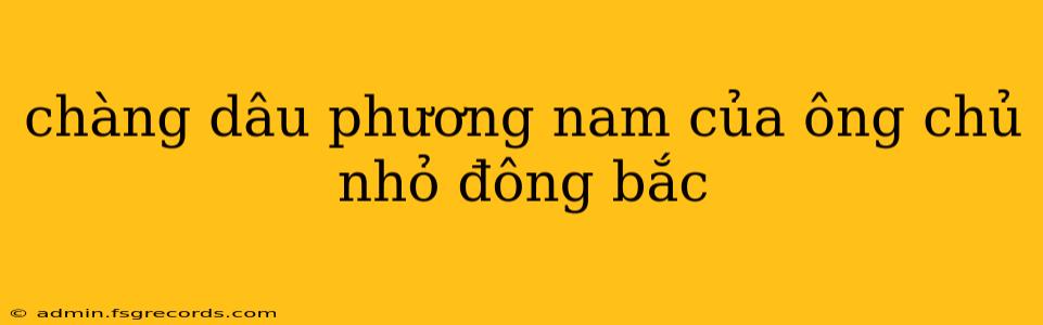 chàng dâu phương nam của ông chủ nhỏ đông bắc