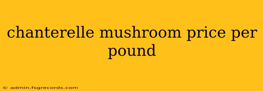 chanterelle mushroom price per pound