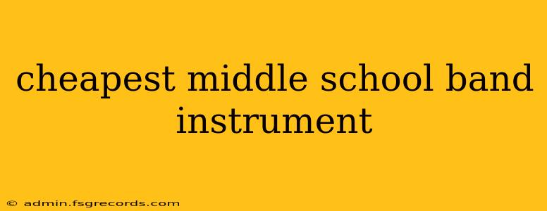 cheapest middle school band instrument