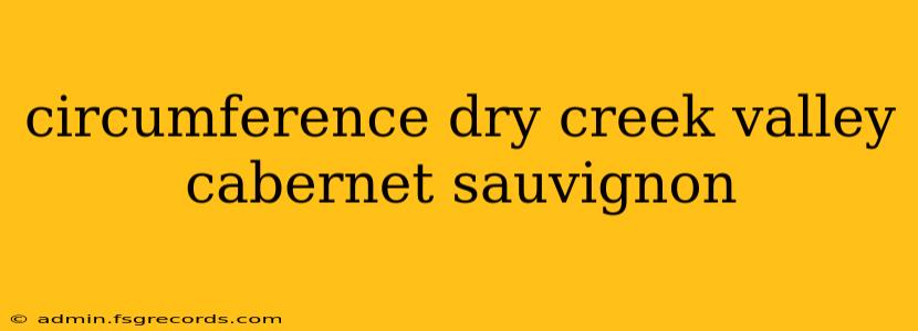 circumference dry creek valley cabernet sauvignon