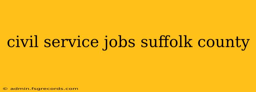 civil service jobs suffolk county