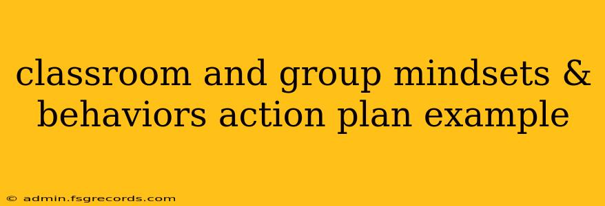 classroom and group mindsets & behaviors action plan example