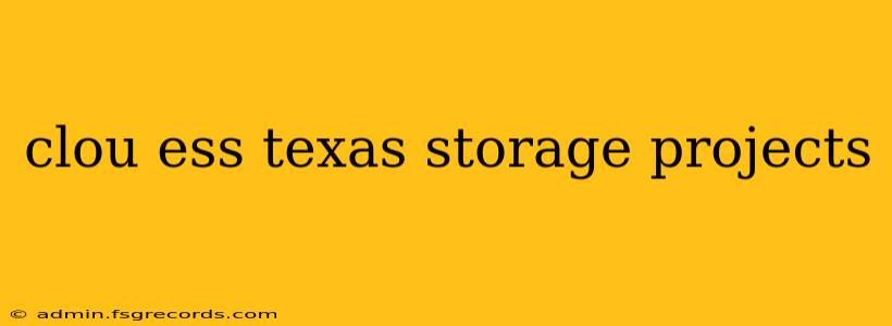 clou ess texas storage projects