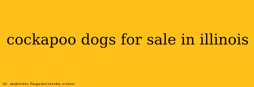 cockapoo dogs for sale in illinois