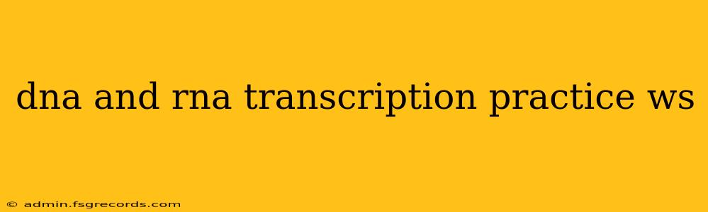 dna and rna transcription practice ws