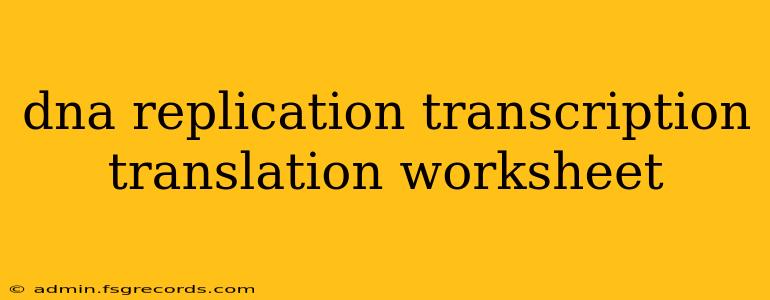 dna replication transcription translation worksheet