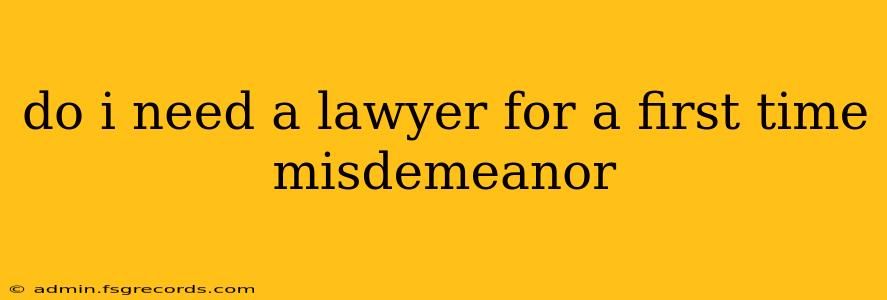 do i need a lawyer for a first time misdemeanor