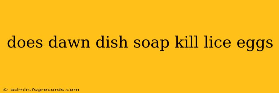 does dawn dish soap kill lice eggs