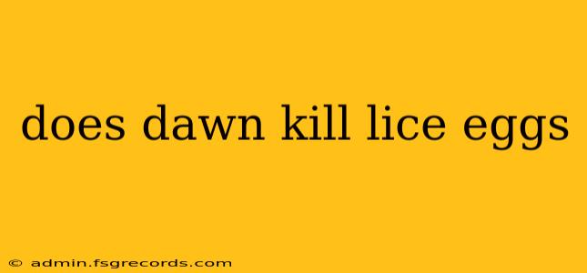 does dawn kill lice eggs