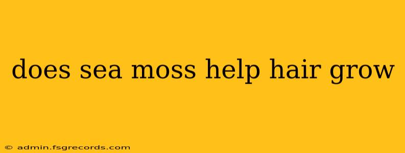 does sea moss help hair grow