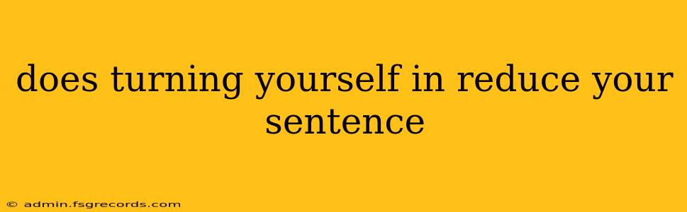 does turning yourself in reduce your sentence