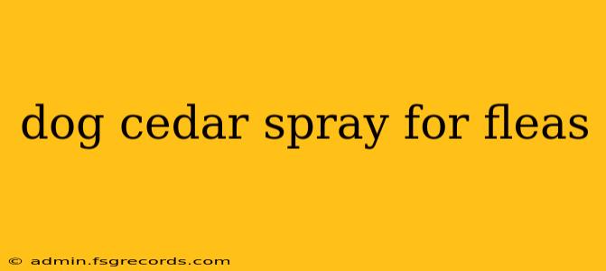 dog cedar spray for fleas