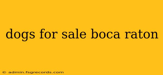 dogs for sale boca raton