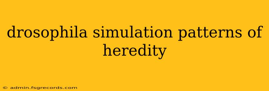 drosophila simulation patterns of heredity