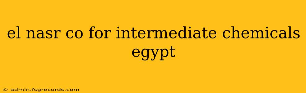 el nasr co for intermediate chemicals egypt