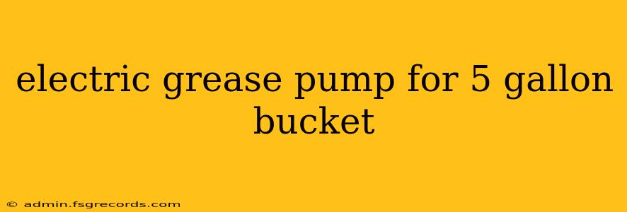 electric grease pump for 5 gallon bucket