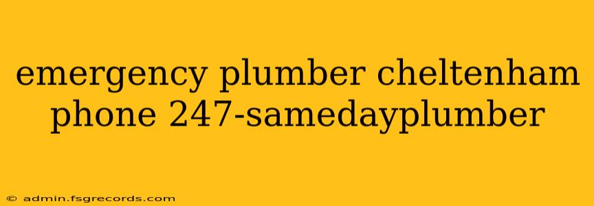 emergency plumber cheltenham phone 247-samedayplumber