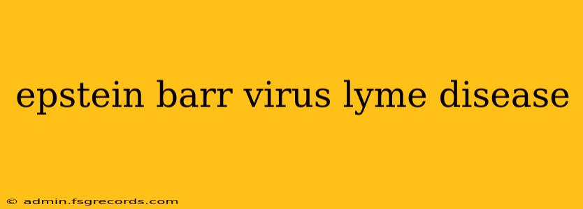 epstein barr virus lyme disease