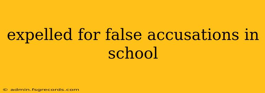 expelled for false accusations in school