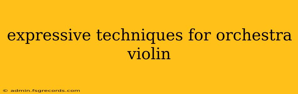 expressive techniques for orchestra violin