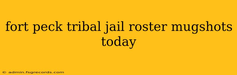 fort peck tribal jail roster mugshots today