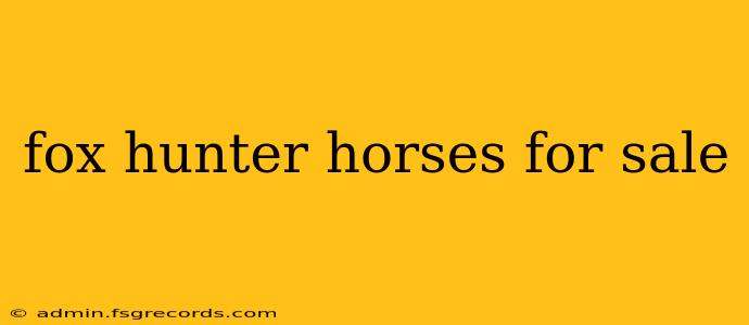 fox hunter horses for sale