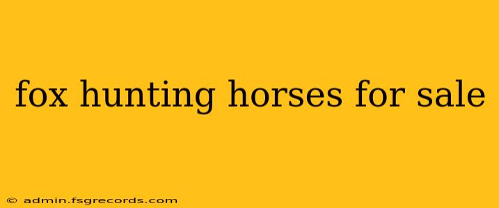 fox hunting horses for sale