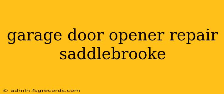 garage door opener repair saddlebrooke