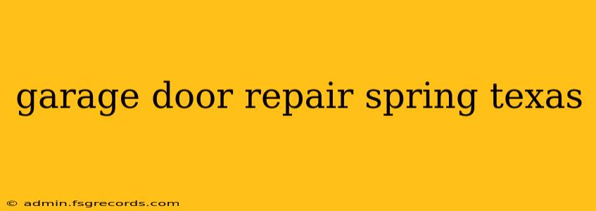 garage door repair spring texas